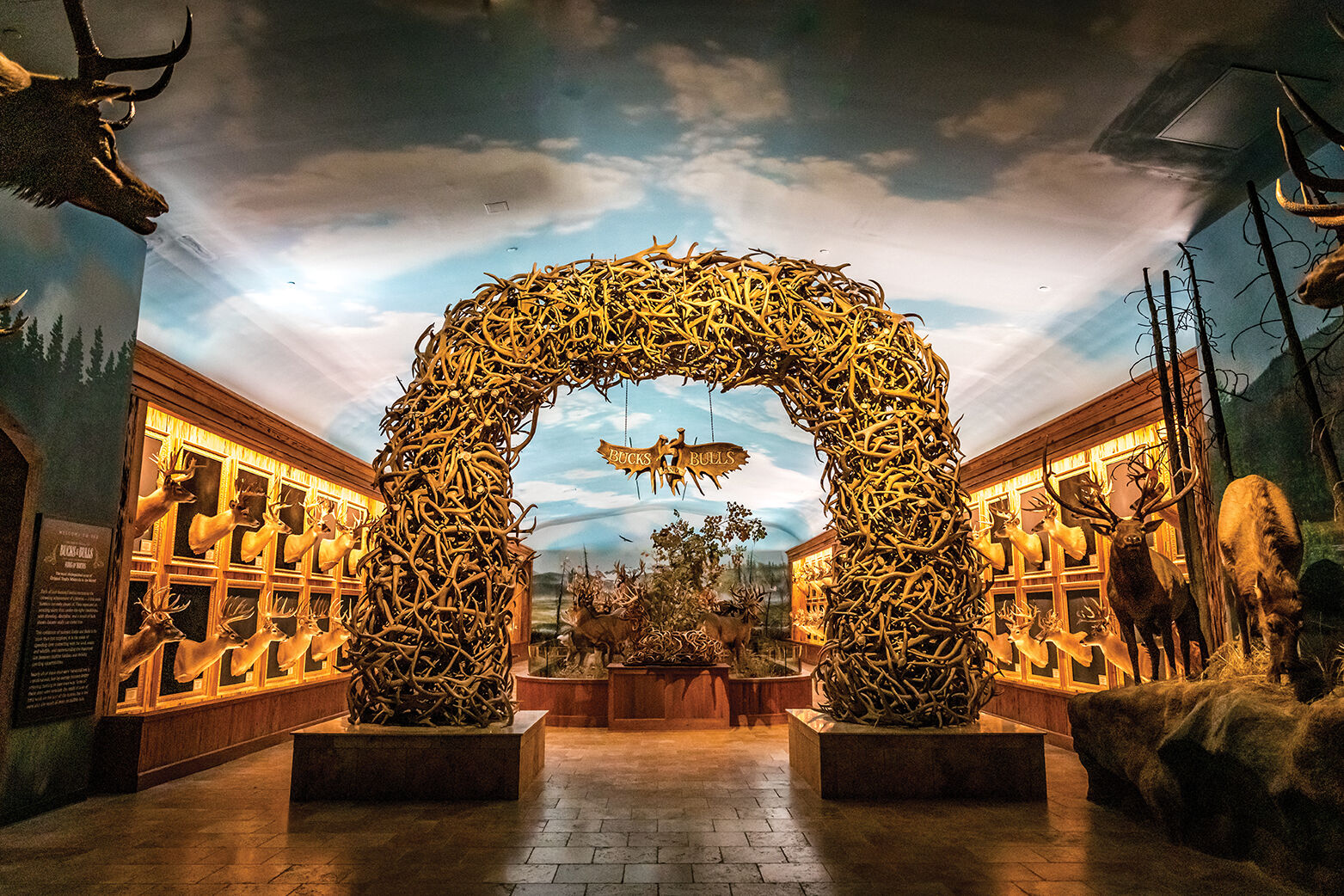 Wonders-of-Wildlife---Bucks-and-Bulls---antler-shed-arch.jpg